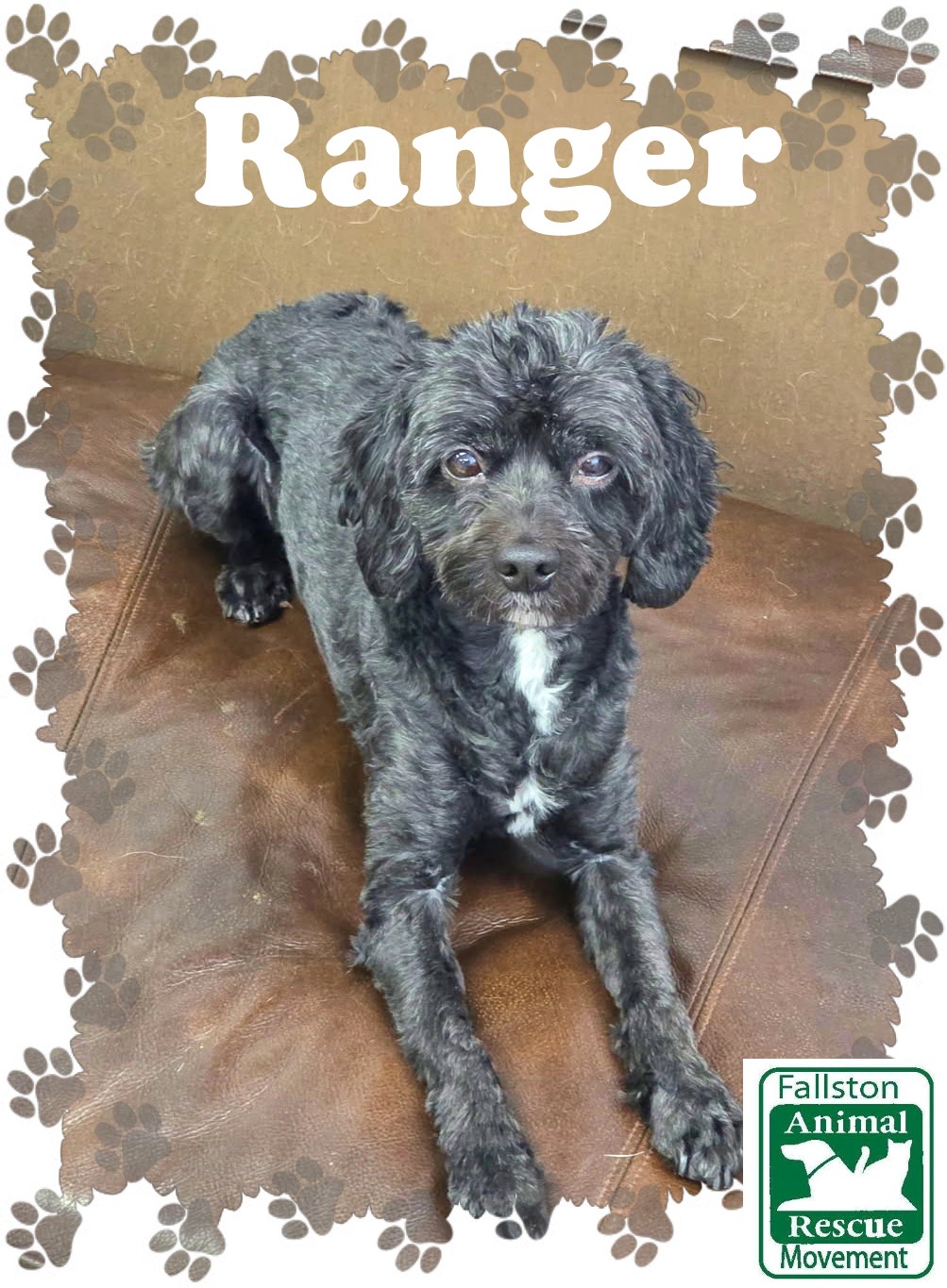 Ranger