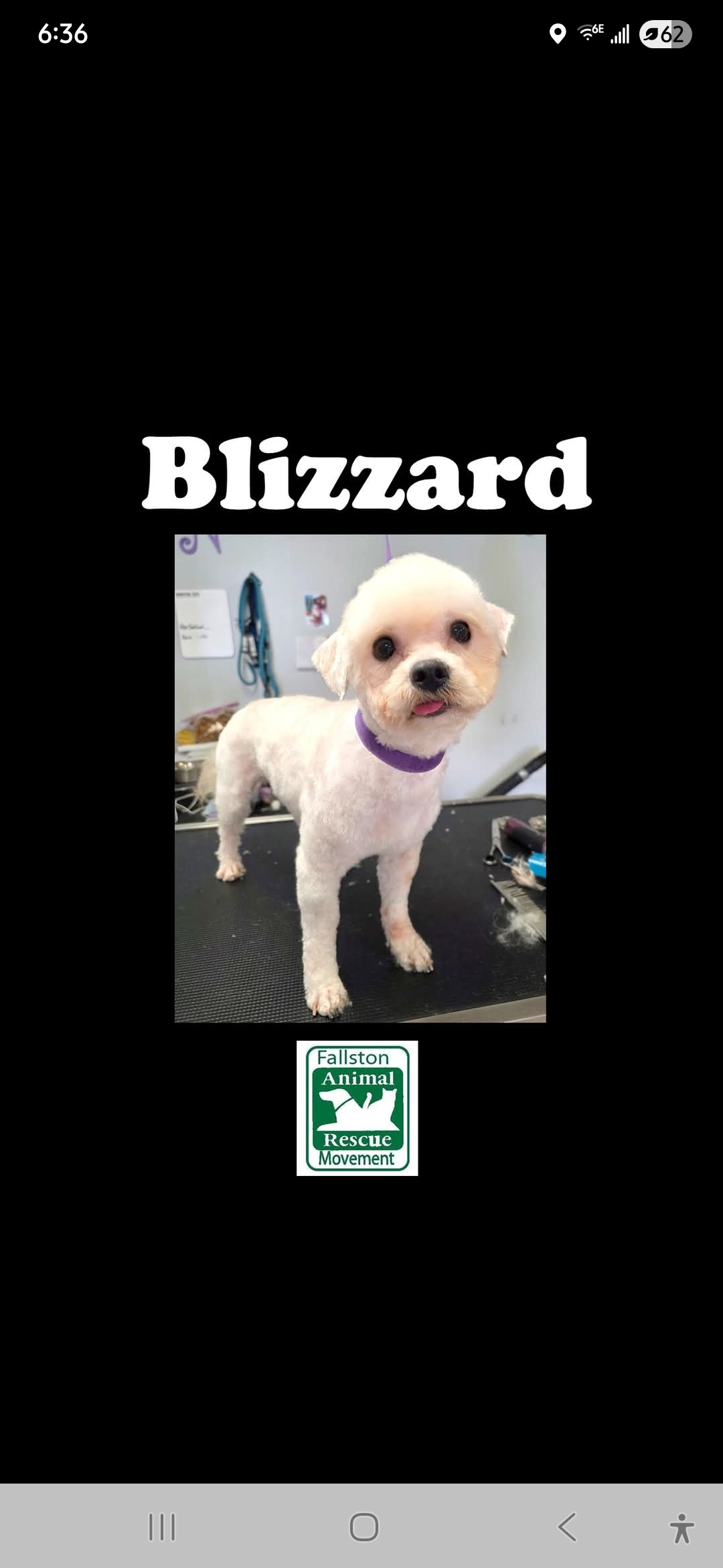 Blizzard