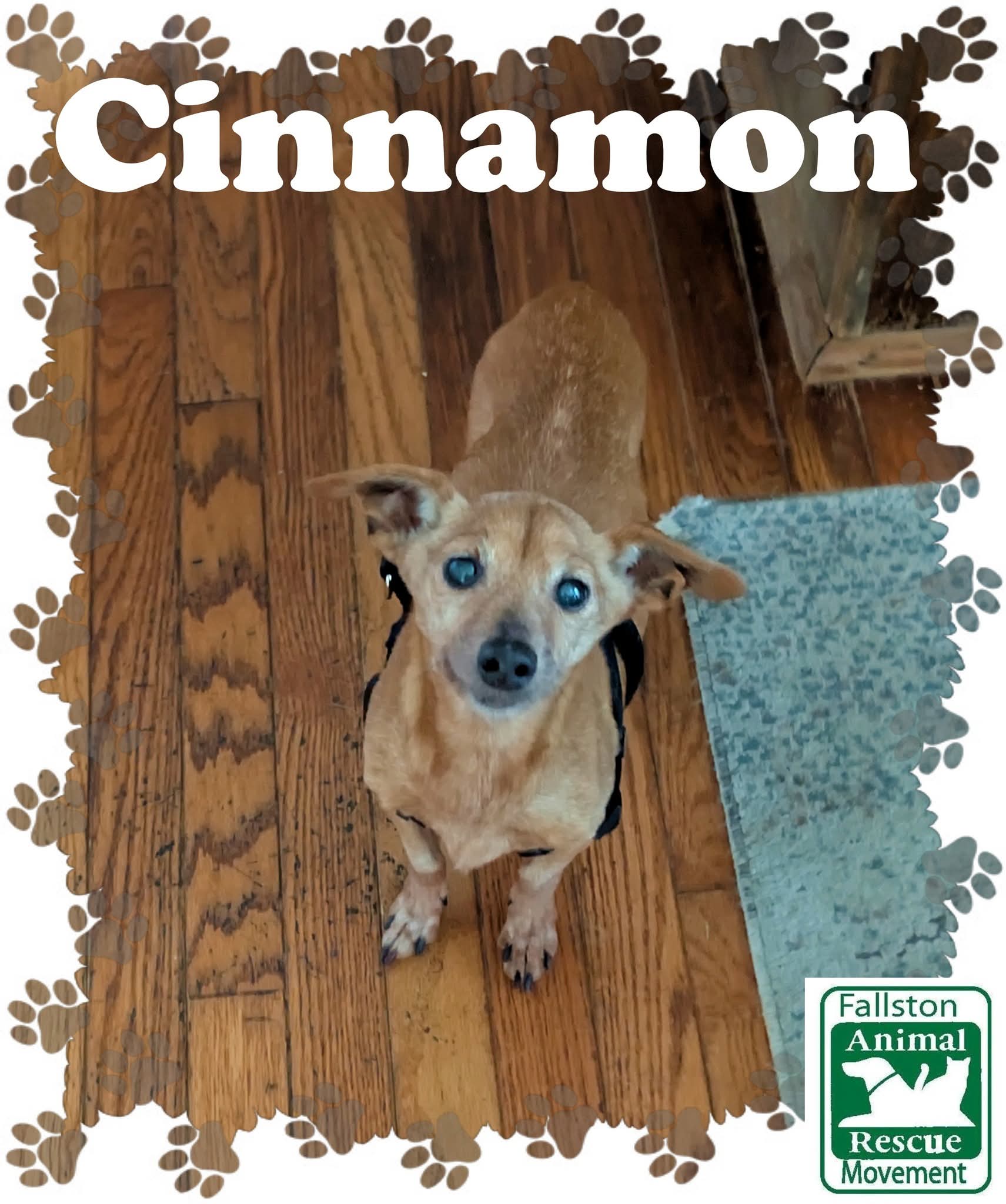 Cinnamon