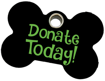 Donate Today